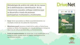 • Causa: factor que produce un efecto causal directamente / un
resultado a través de una cadena de mecanismos.
• Mecanismo...