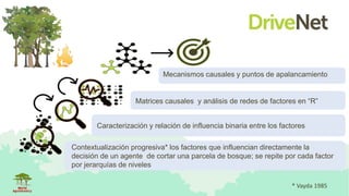 Contextualización progresiva* los factores que influencian directamente la
decisión de un agente de cortar una parcela de ...