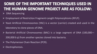  DNA Sequencing
 Employment of Restriction Fragment-Length Polymorphisms (RFLP).
 Yeast Artificial Chromosomes (YAC) is a vector (carrier) created and used in the
laboratory to clone pieces of DNA.
 Bacterial Artificial Chromosomes (BAC) is a large segment of DNA (100,000—
200,000 b p) from another species cloned into bacteria.
 The Polymerase Chain Reaction (PCR).
 Electrophoresis.
 