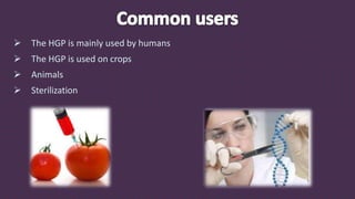  The HGP is mainly used by humans
 The HGP is used on crops
 Animals
 Sterilization
 