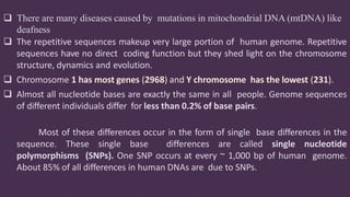  There are many diseases caused by mutations in mitochondrial DNA (mtDNA) like
deafness
 The repetitive sequences makeup very large portion of human genome. Repetitive
sequences have no direct coding function but they shed light on the chromosome
structure, dynamics and evolution.
 Chromosome 1 has most genes (2968) and Y chromosome has the lowest (231).
 Almost all nucleotide bases are exactly the same in all people. Genome sequences
of different individuals differ for less than 0.2% of base pairs.
Most of these differences occur in the form of single base differences in the
sequence. These single base differences are called single nucleotide
polymorphisms (SNPs). One SNP occurs at every ~ 1,000 bp of human genome.
About 85% of all differences in human DNAs are due to SNPs.
 
