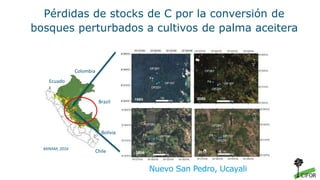Nuevo San Pedro, Ucayali
MINAM, 2016
Ecuado
r
Colombia
Brazil
Bolivia
Chile
Pérdidas de stocks de C por la conversión de
b...