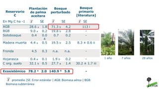 promedio |SE: Error estándar | AGB: Biomasa aérea | BGB:
Biomasa subterránea
Reservorio
C
Plantación
de palma
aceitera
Bos...