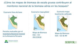 Escenario línea de base
Parcelas evaluadas por el
Inventario Nacional Forestal
en la Amazonía Peruana
Escenario mapa globa...