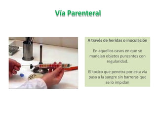Vía Parenteral
A través de heridas o inoculación
En aquellos casos en que se
manejan objetos punzantes con
regularidad.
El toxico que penetra por esta vía
pasa a la sangre sin barreras que
se lo impidan
 