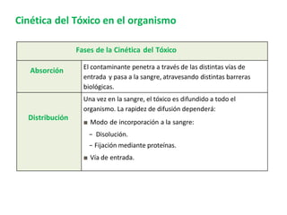 Cinética del Tóxico en el organismo
Fases de la Cinética del Tóxico
Absorción El contaminante penetra a través de las distintas vías de
entrada y pasa a la sangre, atravesando distintas barreras
biológicas.
Distribución
Una vez en la sangre, el tóxico es difundido a todo el
organismo. La rapidez de difusión dependerá:
■ Modo de incorporación a la sangre:
− Disolución.
− Fijación mediante proteínas.
■ Vía de entrada.
 