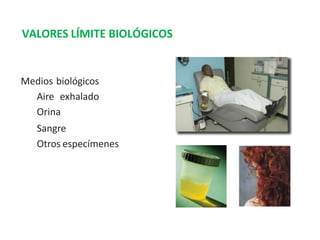 Medios biológicos
Aire exhalado
Orina
Sangre
Otros especímenes
VALORES LÍMITE BIOLÓGICOS
 