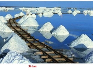 36 km
 