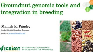 Groundnut genomic tools and
integration in breeding
Manish K. Pandey
Senior Scientist-Groundnut Genomics
Email Id: m.pandey@cgiar.org
 