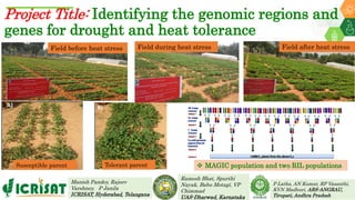 Research Program Genetic Gains (RPGG) Review Meeting 2021: Groundnut genomic tools and integration in breeding By Manish K. Pandey