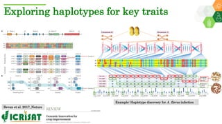 Research Program Genetic Gains (RPGG) Review Meeting 2021: Groundnut genomic tools and integration in breeding By Manish K. Pandey
