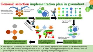 Research Program Genetic Gains (RPGG) Review Meeting 2021: Groundnut genomic tools and integration in breeding By Manish K. Pandey