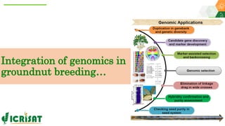 Research Program Genetic Gains (RPGG) Review Meeting 2021: Groundnut genomic tools and integration in breeding By Manish K. Pandey
