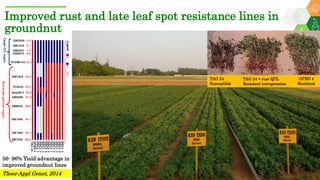 Research Program Genetic Gains (RPGG) Review Meeting 2021: Groundnut genomic tools and integration in breeding By Manish K. Pandey