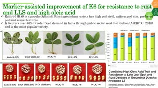 Research Program Genetic Gains (RPGG) Review Meeting 2021: Groundnut genomic tools and integration in breeding By Manish K. Pandey