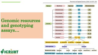 Research Program Genetic Gains (RPGG) Review Meeting 2021: Groundnut genomic tools and integration in breeding By Manish K. Pandey