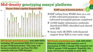 Research Program Genetic Gains (RPGG) Review Meeting 2021: Groundnut genomic tools and integration in breeding By Manish K. Pandey