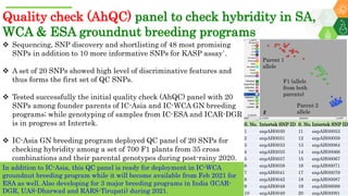 Research Program Genetic Gains (RPGG) Review Meeting 2021: Groundnut genomic tools and integration in breeding By Manish K. Pandey