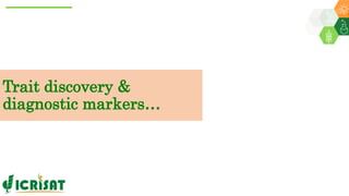 Research Program Genetic Gains (RPGG) Review Meeting 2021: Groundnut genomic tools and integration in breeding By Manish K. Pandey