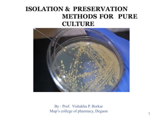 ISOLATION & PRESERVATION
METHODS FOR PURE
CULTURE
1
 