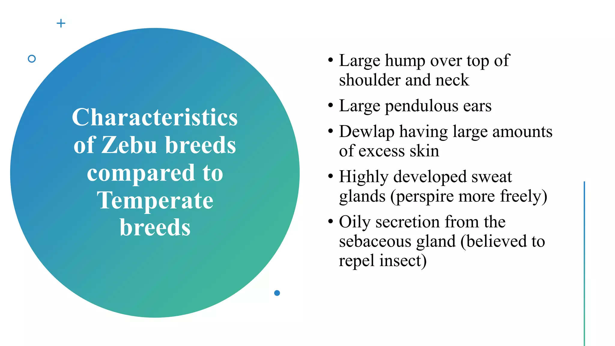 BEEF CATTLE PRODUCTION | PPT