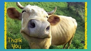 BEEF CATTLE PRODUCTION