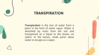 TRANSPIRATION
Transpiration is the loss of water from a
plant in the form of water vapor. Water is
absorbed by roots from the soil and
transported as a liquid to the leaves via
xylem. In the leaves, small pores allow
water to escape as a vapor.
 