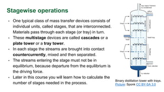 Mass Transfer Rig Design principles in mass transfer processes | PPTX