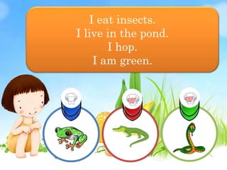 I eat insects.
I live in the pond.
I hop.
I am green.
 