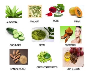 ALOEVERA WALNUT ROSE P
AP
A
Y
A
CUCUMBER NEEM TURMERIC
SANDALWOOD
GREENCOFFEESEEDS
GRAPESEEDS
 