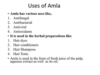 Uses of Amla
• Amla has various uses like,
1. Antifungal
2. Antibacterial
3. Antiviral
4. Antioxidants
• It is used in the herbal preparations like
1. Hair dyes
2. Hair conditioners
3. Hair Shampoos
4. Hair Tonic
• Amla is used in the form of fresh juice of the pulp,
aqueous extract as well as its oil.
 