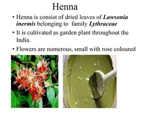 Henna
• Henna is consist of dried leaves of Lawsonia
inermis belonging to family Lythraceae
• It is cultivated as garden plant throughout the
India.
• Flowers are numerous, small with rose coloured
fragrance.
 