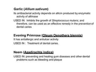 Garlic (Allium sativum)
Its antibacterial activity depends on allicin produced by enzymatic
activity of alliinase
USED IN: Inhibits the growth of Streptococcus mutans, and
therefore, can be used as an effective remedy in the preventionof
dental caries
Evening Primrose (Oleum Oenothera biennis)
It has antiallergic and antiulcer activity
USED IN : Treatment of dental caries.
Neem (Azadirachta indica)
USED IN: preventing and healing gum diseases and other dental
problems such as bleeding and plaque
 