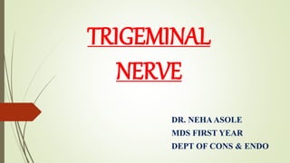 TRIGEMINAL
NERVE
DR. NEHAASOLE
MDS FIRST YEAR
DEPT OF CONS & ENDO
 