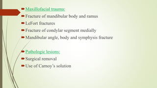 Maxillofacial trauma:
Fracture of mandibular body and ramus
LeFort fractures
Fracture of condylar segment medially
Mandibular angle, body and symphysis fracture
Pathologic lesions:
Surgical removal
Use of Carnoy’s solution
 