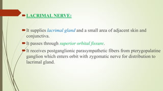 LACRIMAL NERVE:
It supplies lacrimal gland and a small area of adjacent skin and
conjunctiva.
It passes through superior orbital fissure.
It receives postganglionic parasympathetic fibers from pterygopalatine
ganglion which enters orbit with zygomatic nerve for distribution to
lacrimal gland.
 
