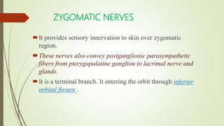 ZYGOMATIC NERVES
It provides sensory innervation to skin over zygomatic
region.
These nerves also convey postganglionic parasympathetic
fibers from pterygopalatine ganglion to lacrimal nerve and
glands.
It is a terminal branch. It entering the orbit through inferior
orbital fissure .
 
