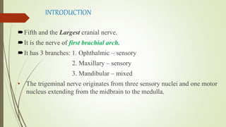 INTRODUCTION
Fifth and the Largest cranial nerve.
It is the nerve of first brachial arch.
It has 3 branches: 1. Ophthalmic – sensory
2. Maxillary – sensory
3. Mandibular – mixed
• The trigeminal nerve originates from three sensory nuclei and one motor
nucleus extending from the midbrain to the medulla.
 