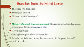 Branches from Undivided Nerve
These are two branches:
Meningeal branch
Nerve to medial pterygoid.
Meningeal branch (nervus spinosus): It passes upwards and re-enters
the cranium through foramen ovale.
Here it supplies:
I. Cartilaginous part of eustachian tube
II. Middle cranial fossa; it supplies dura mater in the posterior half,
mastoid air cells.
 