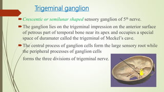 Trigeminal ganglion
Crescentic or semilunar shaped sensory ganglion of 5th nerve.
The ganglion lies on the trigeminal impression on the anterior surface
of petrous part of temporal bone near its apex and occupies a special
space of duramater called the trigeminal of Meckel’s cave.
The central process of ganglion cells form the large sensory root while
the peripheral processes of ganglion cells
forms the three divisions of trigeminal nerve.
 