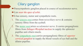 Ciliary ganglion
Parasympathetic ganglion placed in cource of occulomotor nerve.
Lies near the apex of orbit.
It has sensory, motor and sympathetic roots.
1. The sensory root comes from nesociliary nerve & contains
sensory fibres from the eyeball.
2. The motor root arises occulomotor nerve. It carries preganglionic
fibres from Edinger-Westphal nucleus to supply the sphincter
pupillae and ciliaris mucle.
3. The sympathetic root carries postganglionic fibres of superior
cervical ganglion to supply the blood vessels of eye ball and the
dilator pupillae.
 