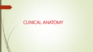 CLINICAL ANATOMY
 