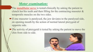 Motor examination:
The mandibular nerve is tested clinically by asking the patient to
clench her/his teeth and then filling for the contracting masseter &
temporalis muscles on the two sides.
If one masseter is paralysed, the jaw deviates to the paralysed side,
on opening mouth by the action of normal lateral pterygoid of
opposite side.
The activity of pterygoid is tested by asking the patient to move the
chin from side to side.
 
