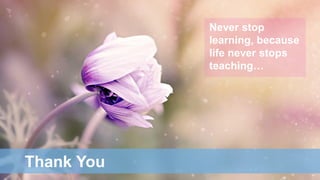 Thank You
Never stop
learning, because
life never stops
teaching…
 