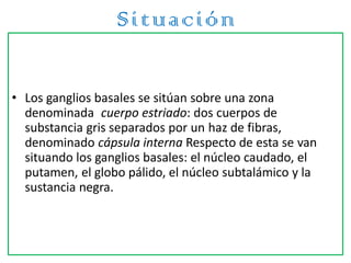 Situación
• Los ganglios basales se sitúan sobre una zona
denominada cuerpo estriado: dos cuerpos de
substancia gris separados por un haz de fibras,
denominado cápsula interna Respecto de esta se van
situando los ganglios basales: el núcleo caudado, el
putamen, el globo pálido, el núcleo subtalámico y la
sustancia negra.
 