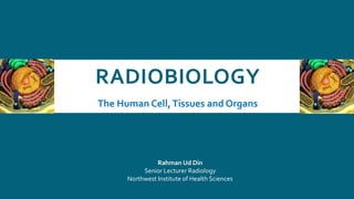 RADIOBIOLOGY
The Human Cell,Tissues and Organs
Rahman Ud Din
Senior Lecturer Radiology
Northwest Institute of Health Sciences
 