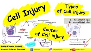 1. Reversible Cell Injury
2. Irreversible Cell Injury
 