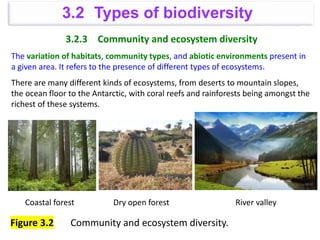 3.2.3 Community and ecosystem diversity
The variation of habitats, community types, and abiotic environments present in
a given area. It refers to the presence of different types of ecosystems.
There are many different kinds of ecosystems, from deserts to mountain slopes,
the ocean floor to the Antarctic, with coral reefs and rainforests being amongst the
richest of these systems.
Coastal forest Dry open forest River valley
Figure 3.2 Community and ecosystem diversity.
3.2 Types of biodiversity
 