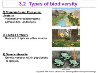 3) Community and Ecosystem
diversity
Variation among ecosystems,
communities, landscapes.
2) Species diversity
Numbers of species within an area.
1) Genetic diversity
Genetic variation within populations
or species.
3.2 Types of biodiversity
 