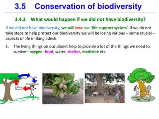 3.4.2 What would happen if we did not have biodiversity?
If we did not have biodiversity, we will lose our ‘life support system’. If we do not
take steps to help protect our biodiversity we will be losing various – some crucial –
aspects of life in Bangladesh.
1. The living things on our planet help to provide a lot of the things we need to
survive– oxygen, food, water, shelter, medicine etc.
3.5 Conservation of biodiversity
 